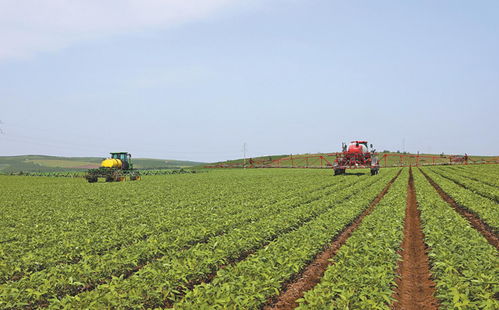 科技 撑腰 呼伦贝尔农业绘出高质量发展 上扬线